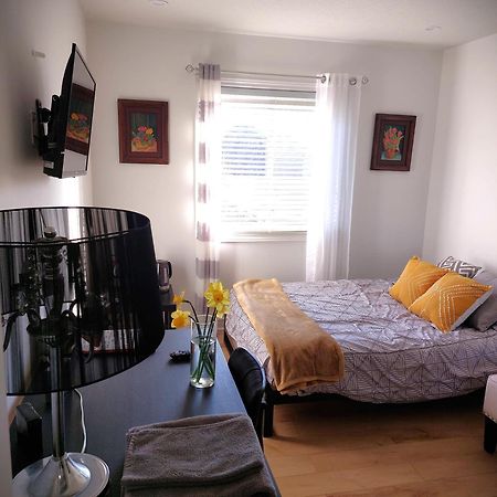 Nimo Homestay Guelph Zewnętrze zdjęcie